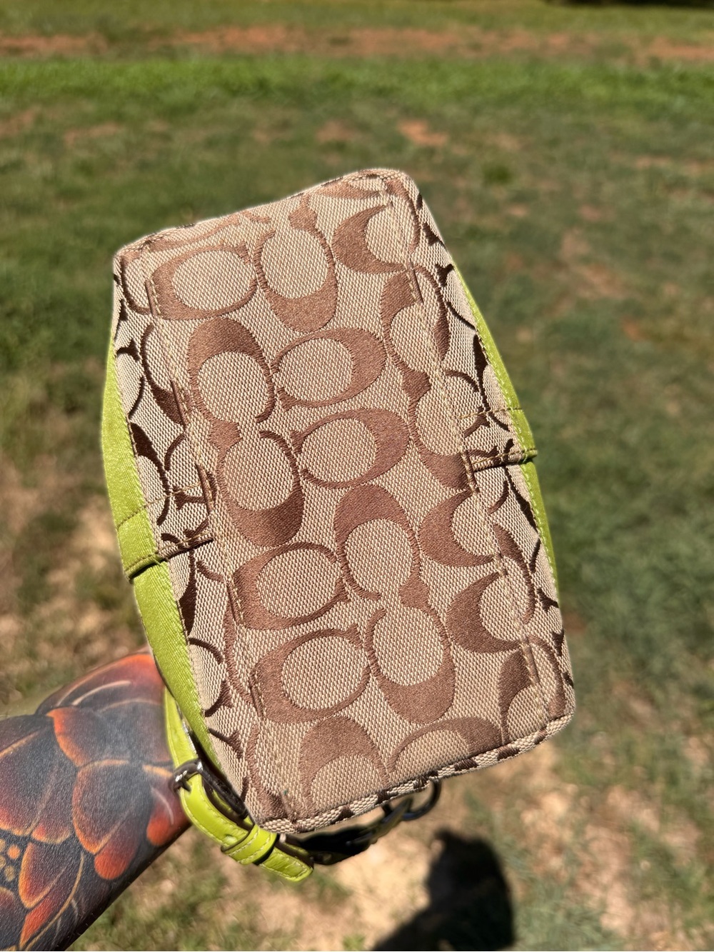 Coach - Picture 6 of 6